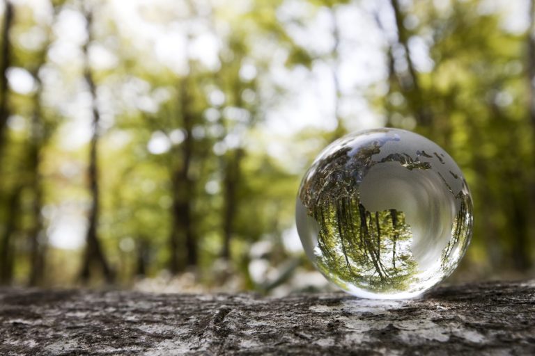 Glaskugel auf einem Baumstamm, reflektiert Bäume im Hintergrund.